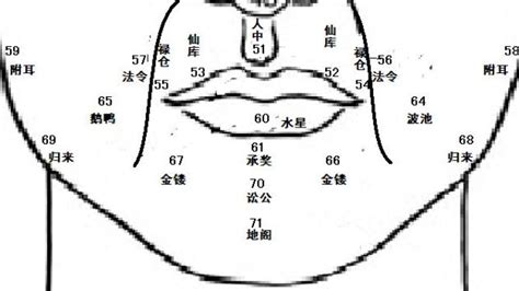 鼻頭有肉|麦玲玲面相讲座之 鼻子 – 人相学